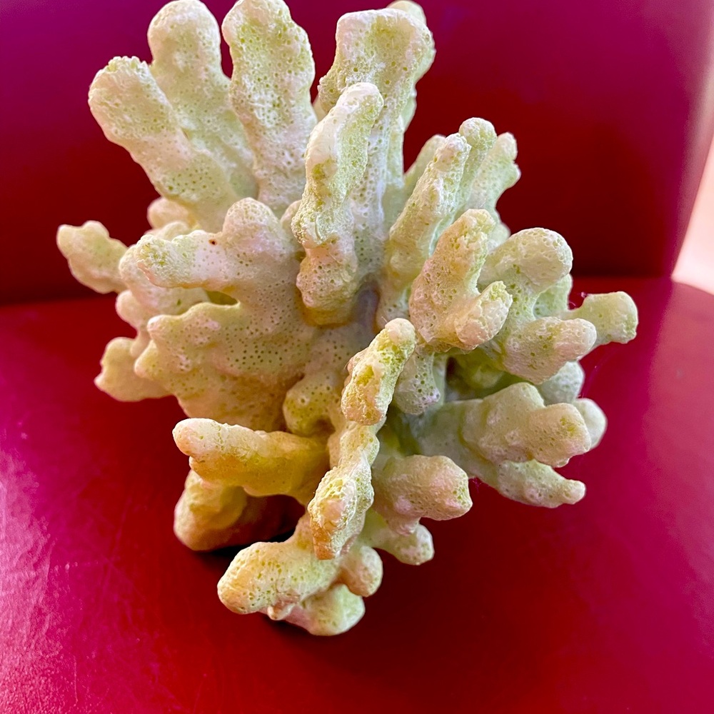 Coral (manufactured) light green
